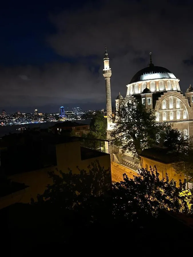 The Pillo Mansion Apartment Istanbul Turkey